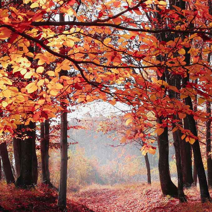 港澳资料免费大全