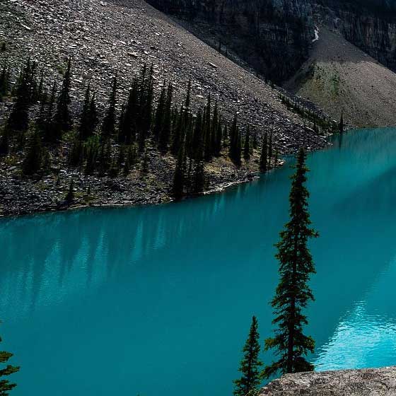 港澳资料免费大全